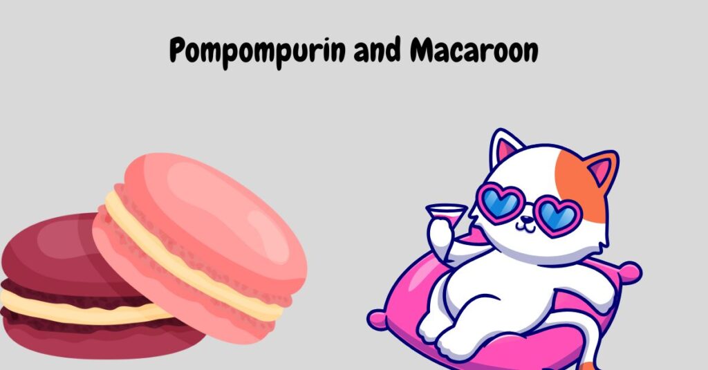 Pompompurin and Macaroon