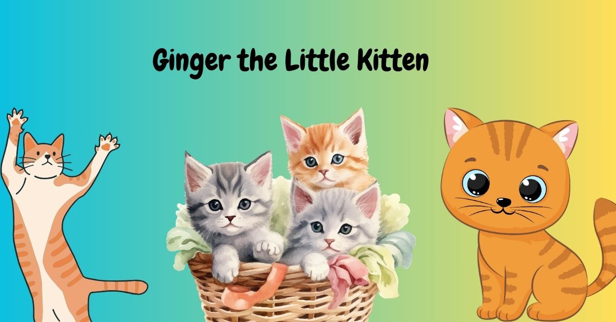 Ginger the Little Kitten