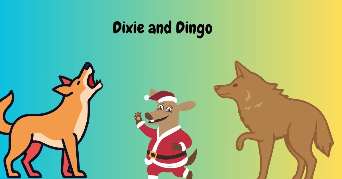 Dixie and Dingo